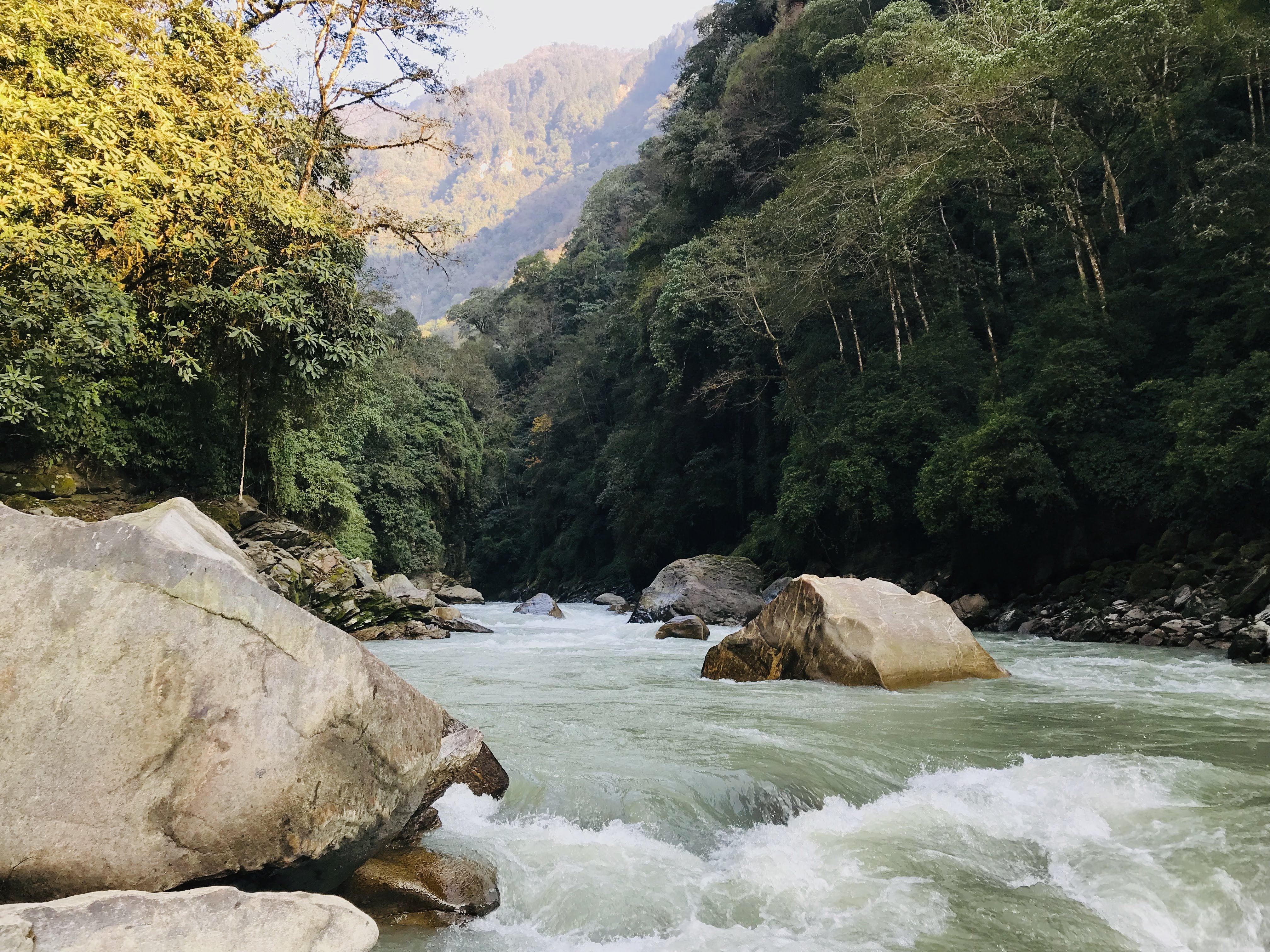 A rushing river carving through forested hills in Nepal, viewed during a geophysical survey trek